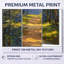 «Path in Whispering Woods in the Summer I», ensemble de 2 reproductions d'art mural en métal-802421531