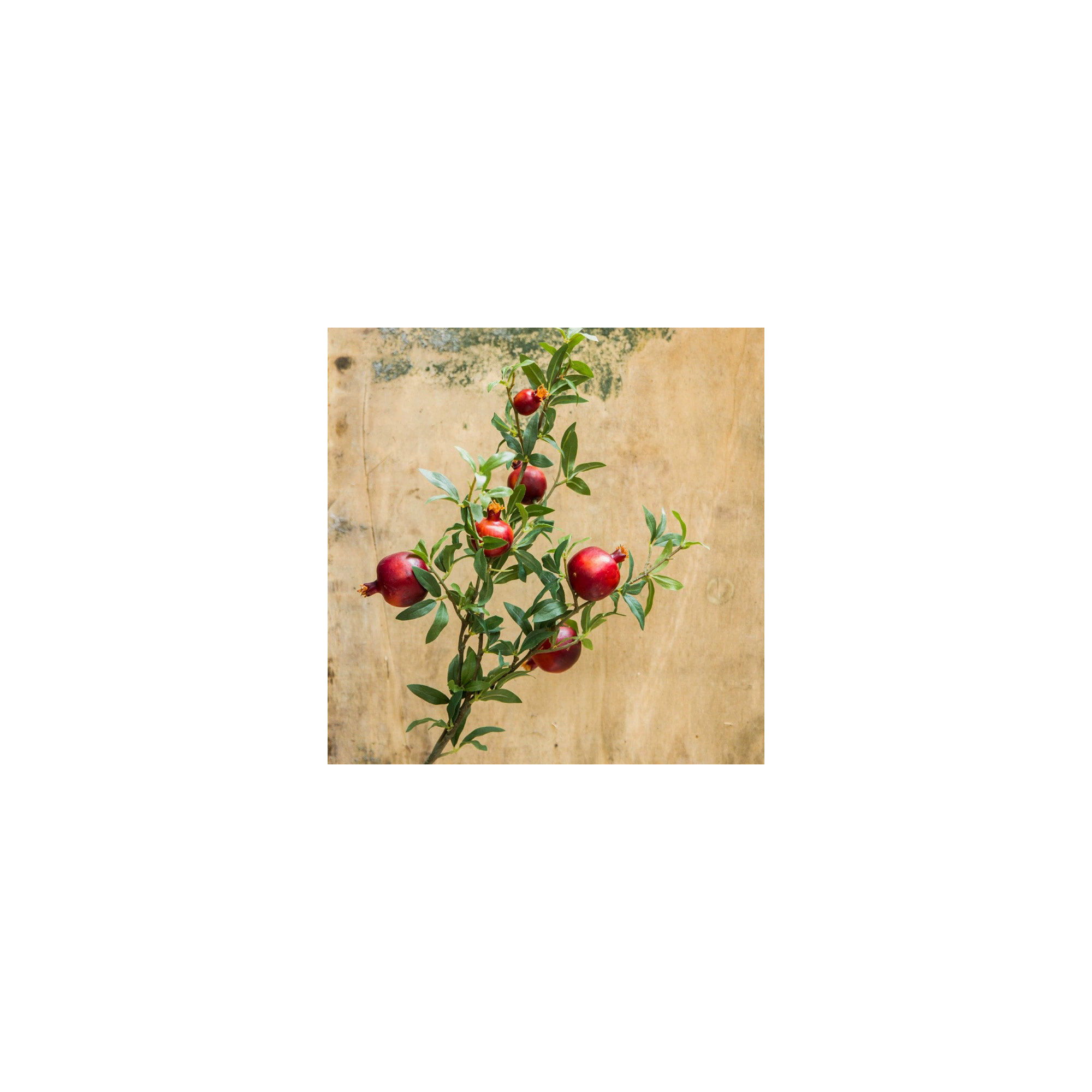 Big Fruit Faux Pomegranate Stem 32" Tall, Red