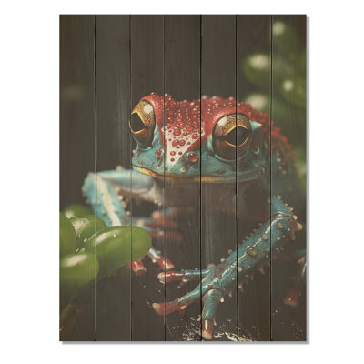 Grenouille sauteuse cachée - animal côtier sur bois