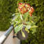 Whitney Window Box Planter-1298968332