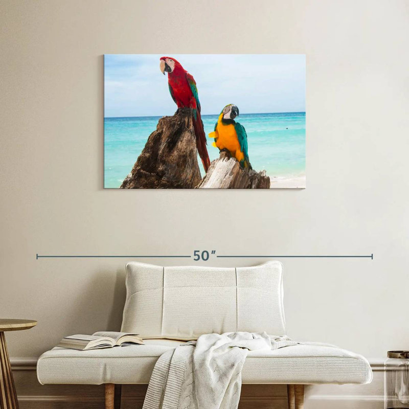 Brampt Resting Macaws, 24" H x 36" W