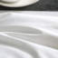Insert de couette toutes saisons en duvet d'oie 100% plumes et duvet-91478399