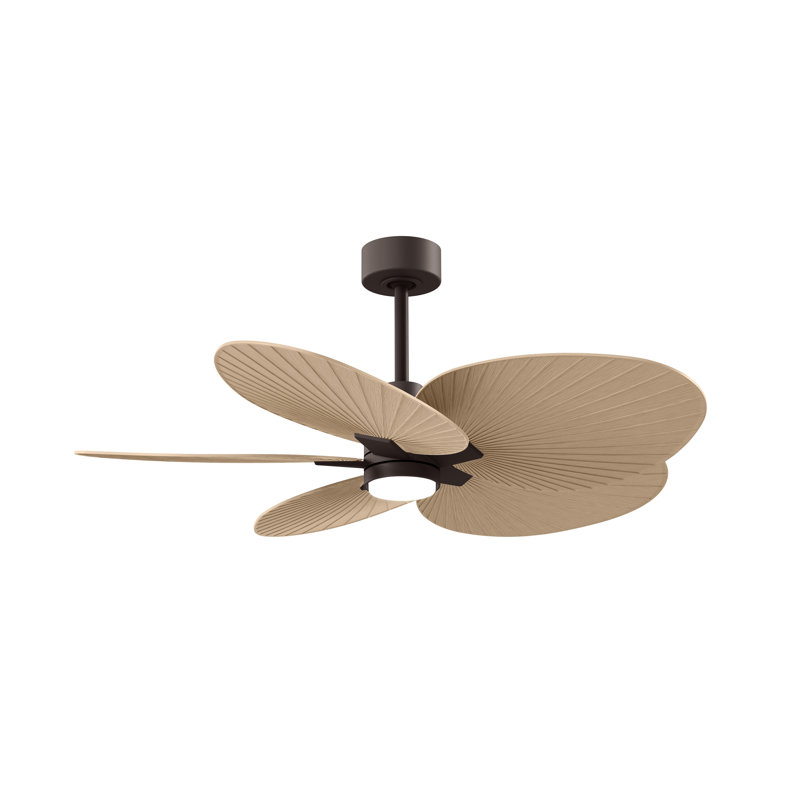 Alessandra - Ventilateur de plafond à cinq pales - DEL intégrée, Bronze texturé, Ton érable clair
