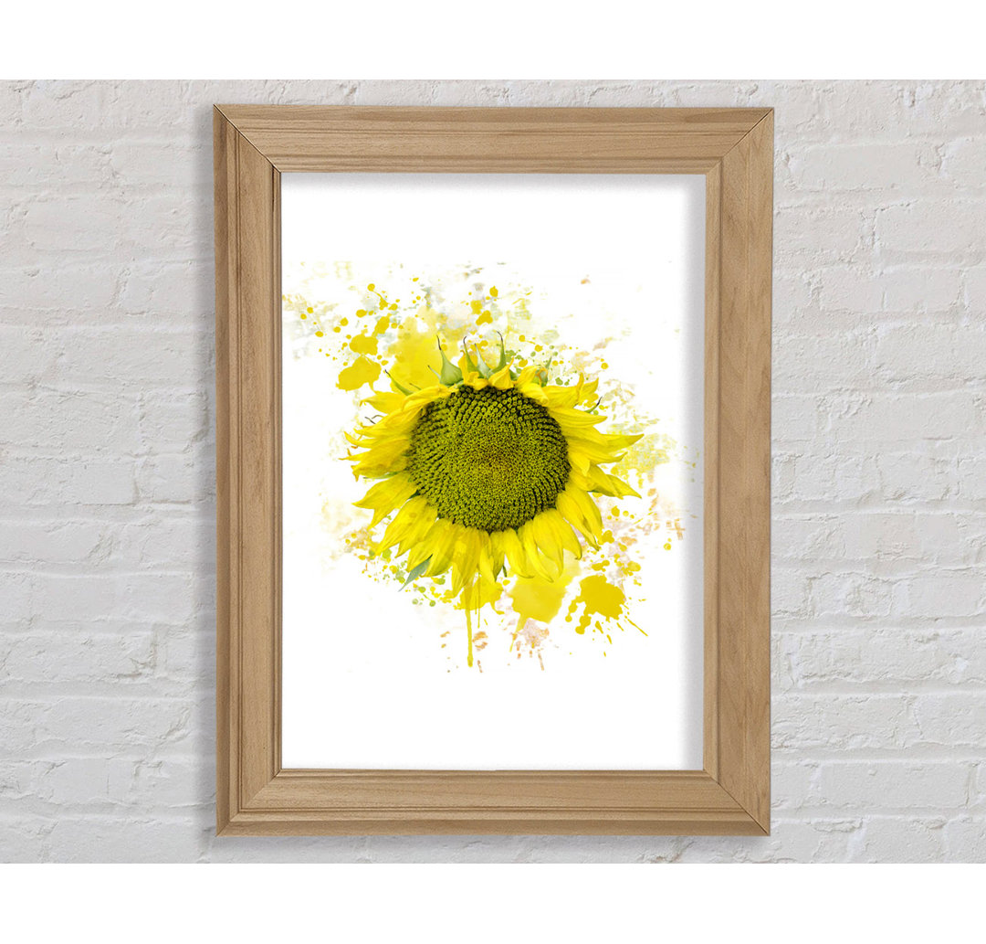 Sonnenblume Splash 2 - Druck