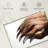 Brampt Brown Bear Claws-108818115