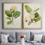 «Magnolia Flowers I», ensemble de 2 reproductions d'art sur toile encadrées-2102747814-2102747810