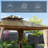 Square Polycarbonate Gazebo – Weather-Resistant-111811892