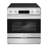 30 in. 4.6 cu. ft. Electric Range with 4 Surface Burners and Convection Oven in Stainless Steel