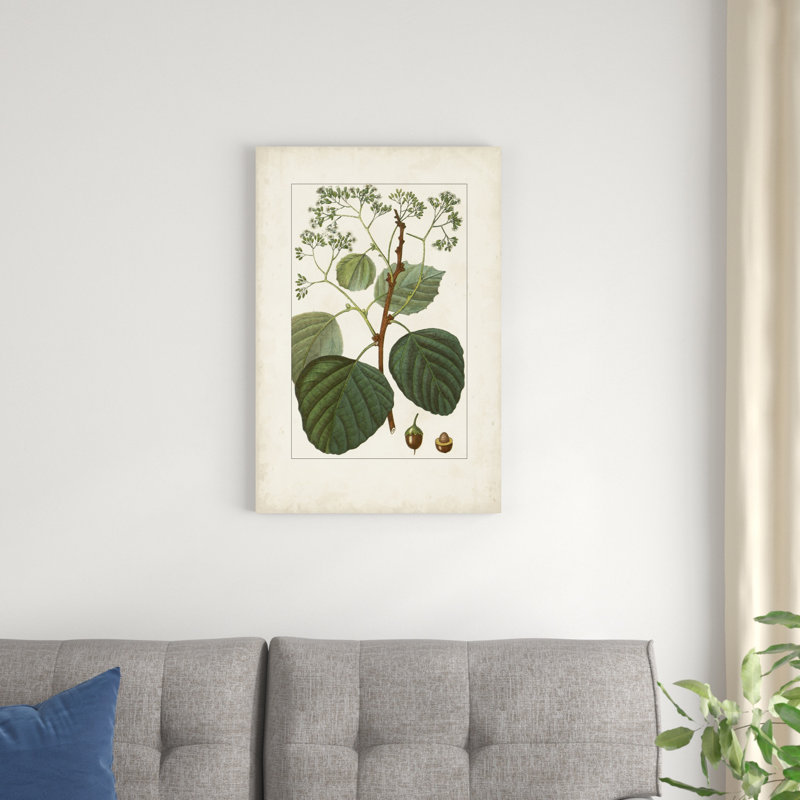 Antique Turpin Botanical IV, H 30 po x l 20 po