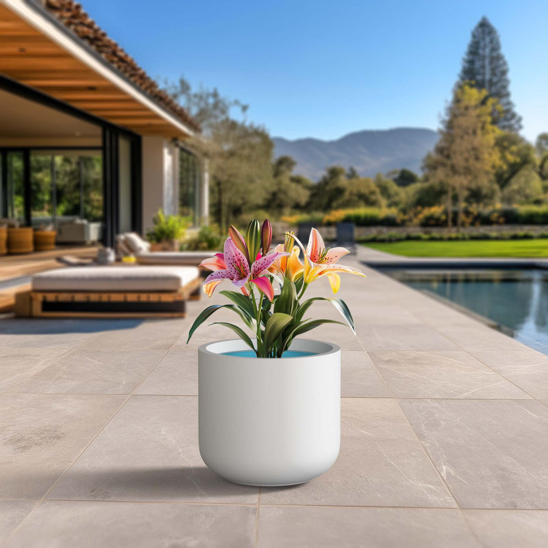 Grand pot / pot rond en béton avec trous de drainage, H 15,75 po x l 17,32 po x P 17,32 po, Blanc vif (intérieur amélioré)