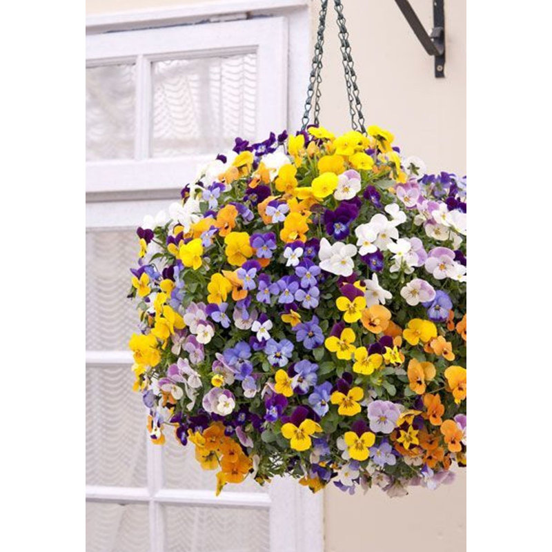 Pot à fleurs suspendu en métal Christiann, Bleu, 2