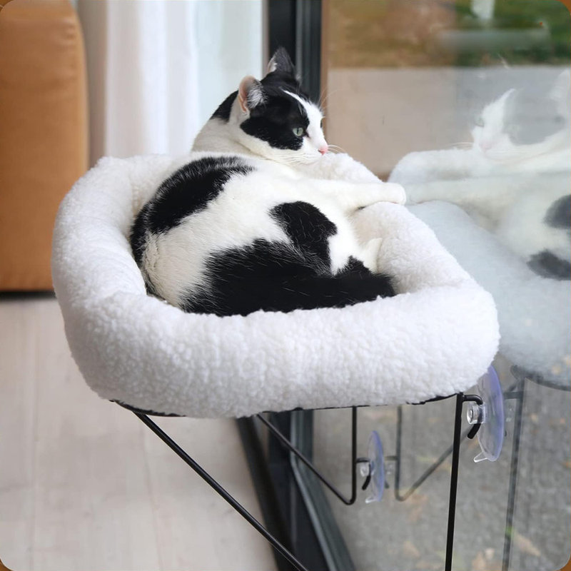 Engela Cat Perch