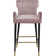 Briannan Upholstered Counter Stool with Solid Wood Frame