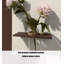 Décoration murale de style français en grès-896402312-896402313