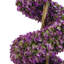 Faux Topiary in Planter-112376025-93622446