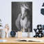 «White Horse» par White Ladder-235240122