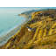 Eagle At Gliderport, Torrey Pines Print by Brian Mc Clean-71202075-71202076