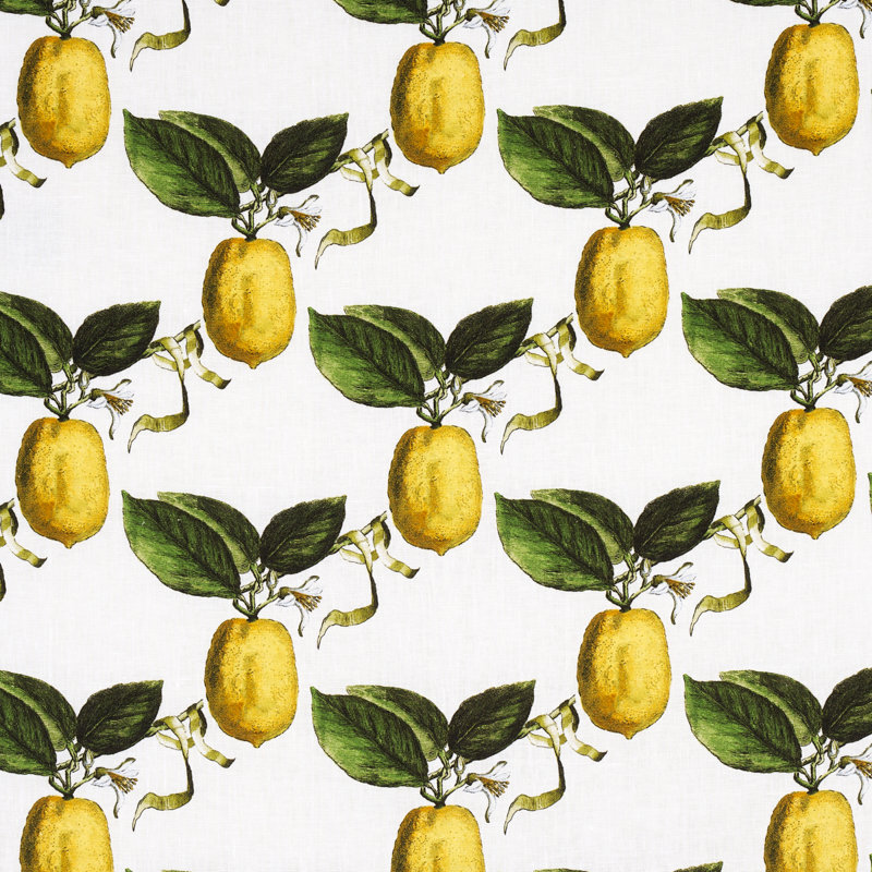 Schumacher x Johnson Hartig Le Citron Fabric, Ivory