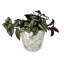 Ensemble de pots à fleurs 3 pièces Bamboo Blooms - 10, 7 et 5 pouces