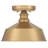 Jeb 1-Light Ceiling Light in Natural Brass-438377625