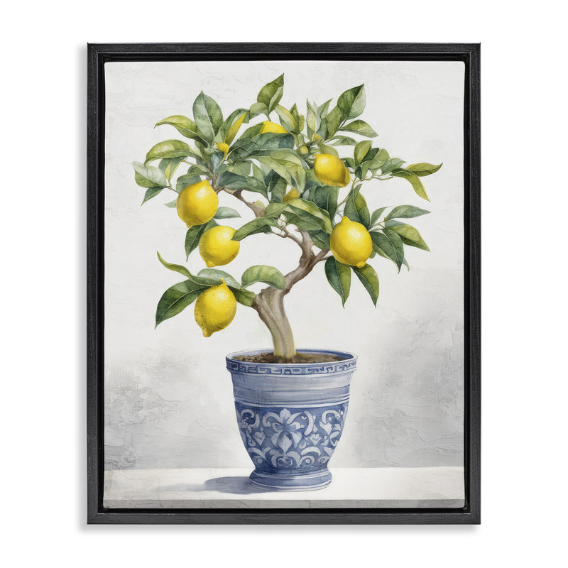 Cadre flottant traditionnel en forme de citronnier, par Kim Allen, H 21 po x l 17 po, Cadre flottant noir de jais