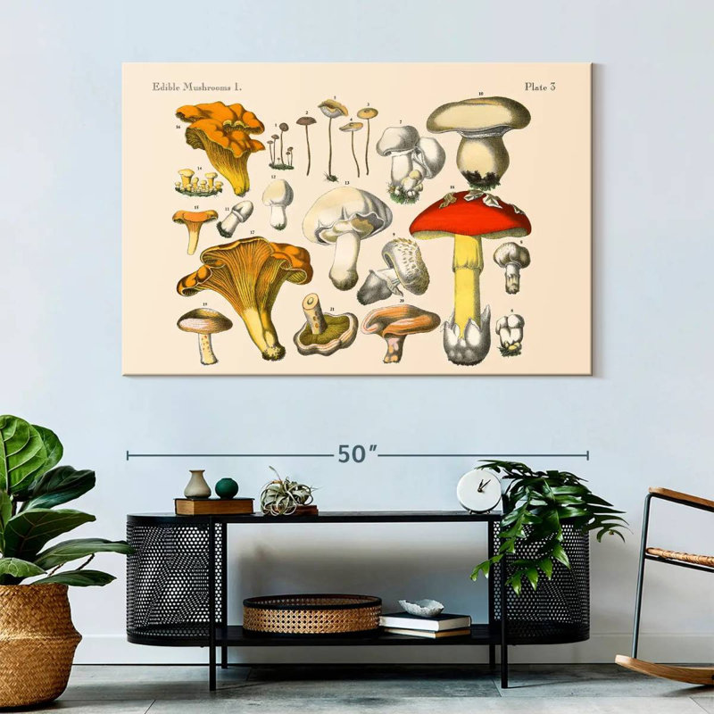 Yarlin Vintage Mushrooms, 34" H x 51" W