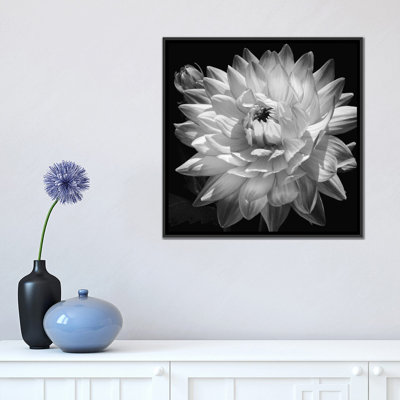 «White Dahlia II», impression sur toile