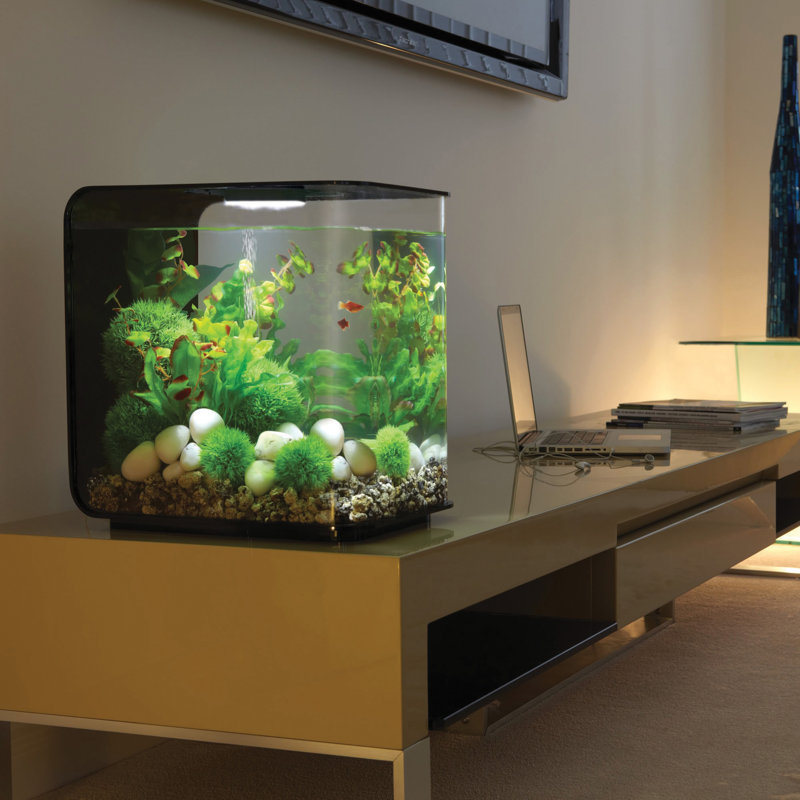 Black Acrylic 8-Gallon Rectangle Aquarium with Stand