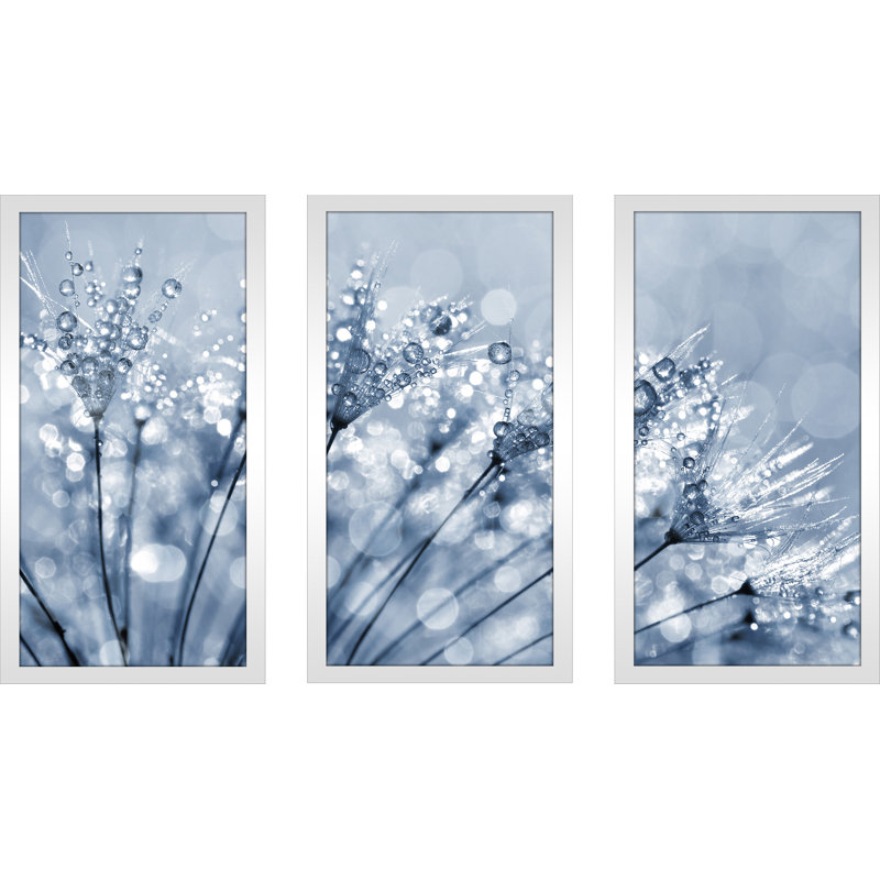 « dewy pissenlit fleur close up », ensemble de 3 impressions encadrées, H 25,5 po x l 40,5 po x P 1 po
