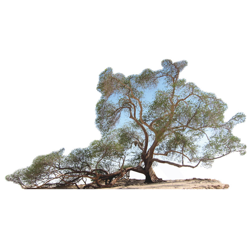 Arbre en forme d'arbre de vie