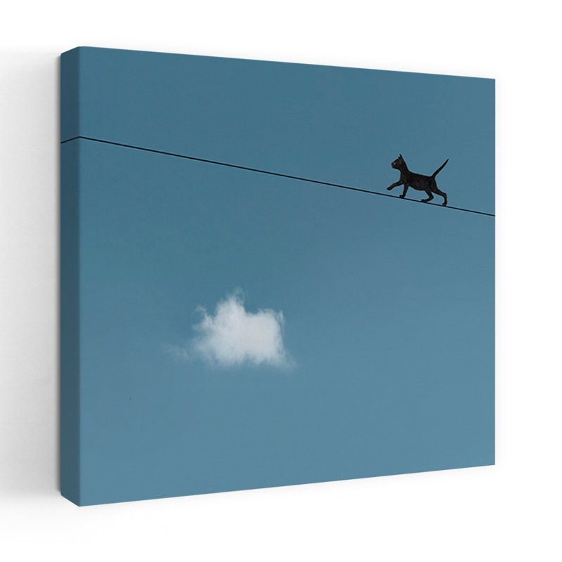 Walk The Line, art urbain contemporain pour chat, H 18 po x l 18 po