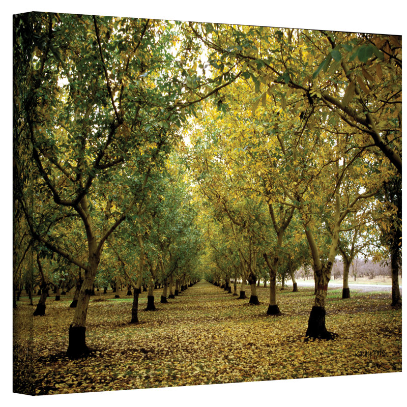 « automne verge » par kathy yates, reproduction de photo sur toile, H 16 po x l 24 po x P 2 po
