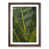Walnut Framed