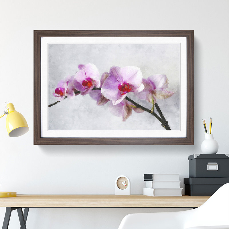 Orchid Flowers Vol.5 - Framed Print, 27cm H x 36cm W x 2cm D, Walnut Framed