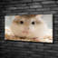Hamster - No Frame Print on Canvas