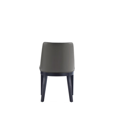 Ensemble de 2 chaises de salle à manger en graphite