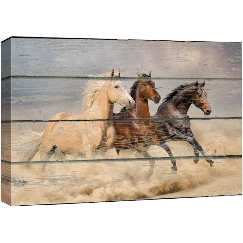 Horse " Galloping Brown Stallions Animals Wildlife "