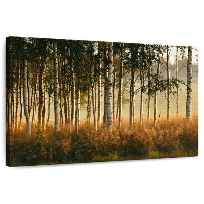 Harnek Grassy Birch Forest
