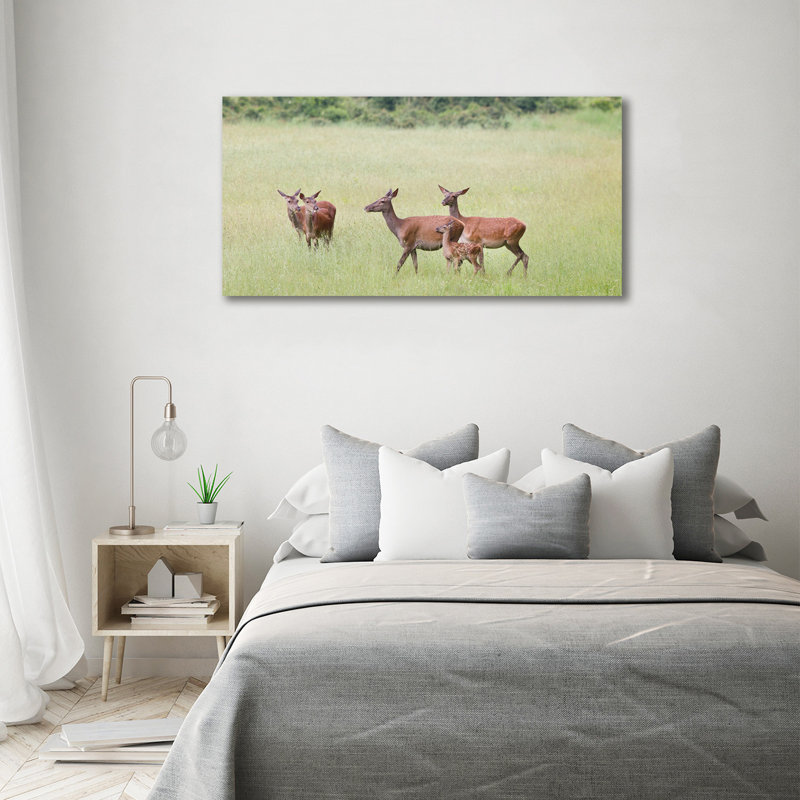 Roe With Young - Wrapped Canvas Print