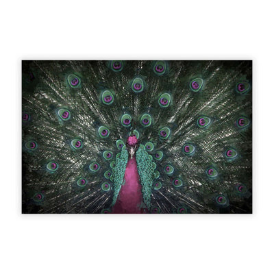 Mesmorising Pink & Green Peacock - Frameless Print