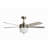 Tulip 52 inch Brushed Nickel Ceiling Fan with LED Light Kit and Remote Control