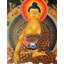 Bouddha Shakyamuni Thangka (Thangka sans brocart)