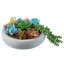 Plantes artificielles vertes et bleues