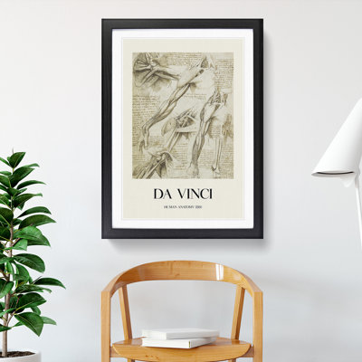 Human Anatomy Vol.1 by Leonardo Da Vinci - Picture Frame Drawing