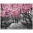 " Cherry Blossoms " 3 - Pieces