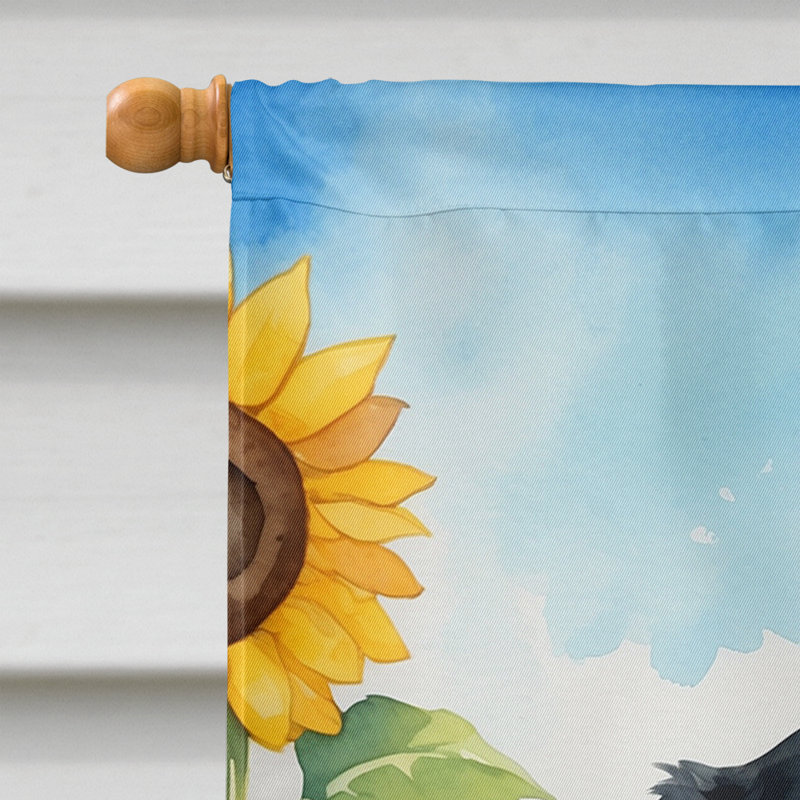 Drapeau de la maison du tournesol Malamute d'Alaska, Teckel noir