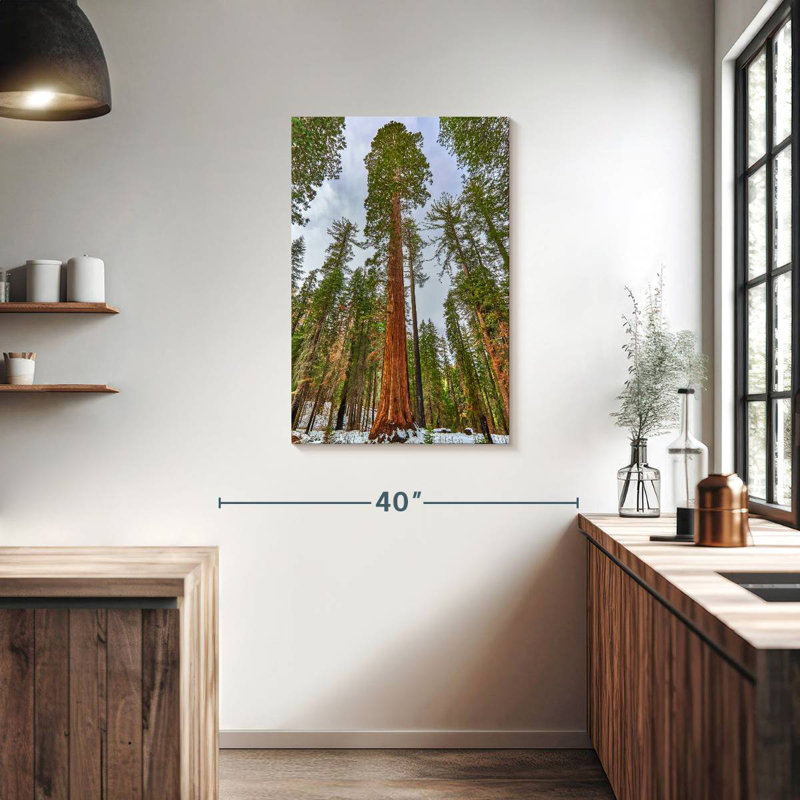 Harnek Giant Sequoia Grove, 36" H x 24" W