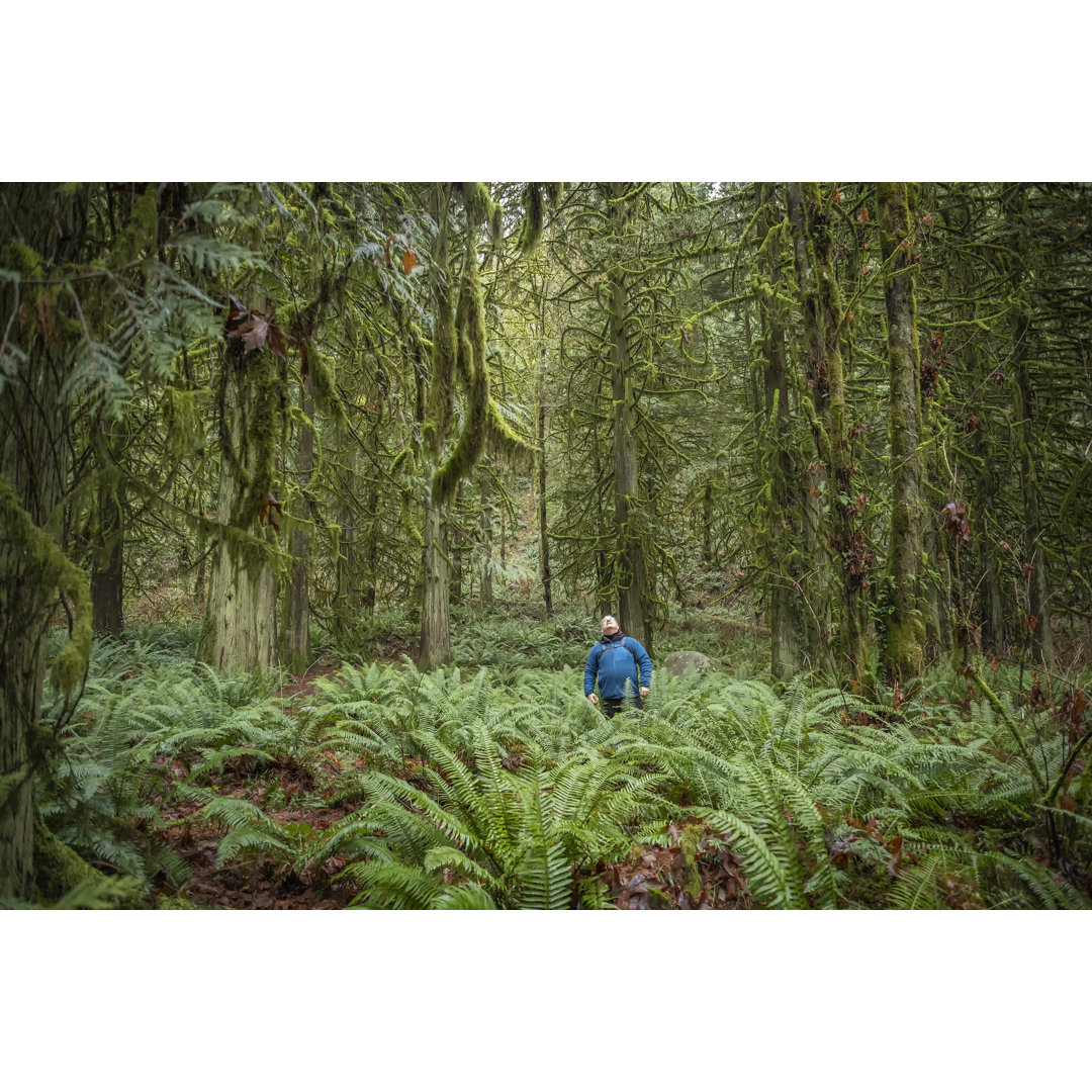 Winter Forest Bathing von PamelaJoeMcFarlane - Ohne Rahmen auf Leinwand drucken