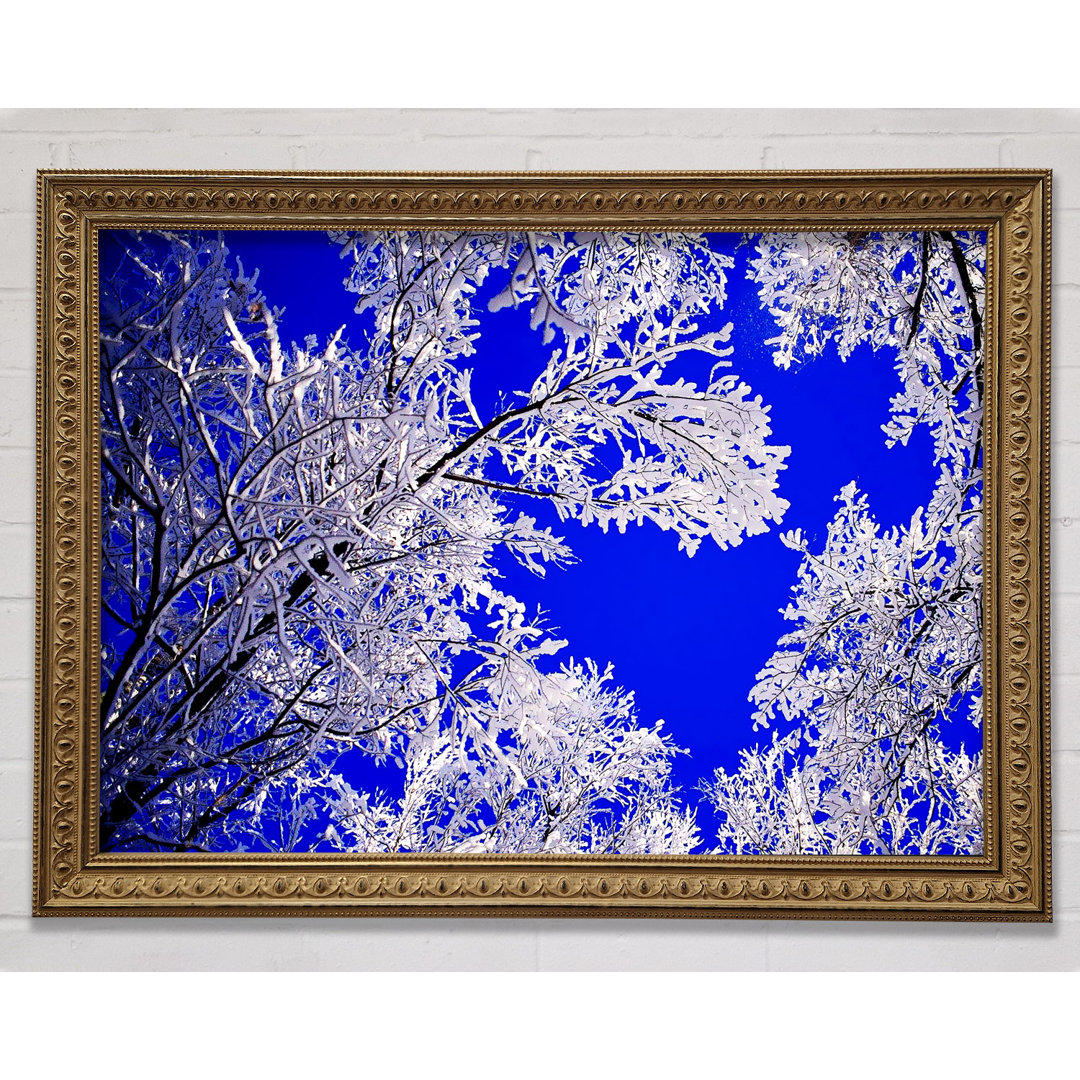 Gerahmtes Poster Winter Ice Tree In Sunlight