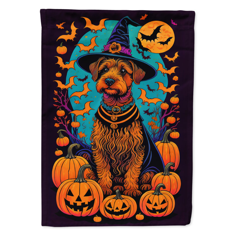 Drapeau de jardin en polyester double face Jakameron, 40 po x 28 po